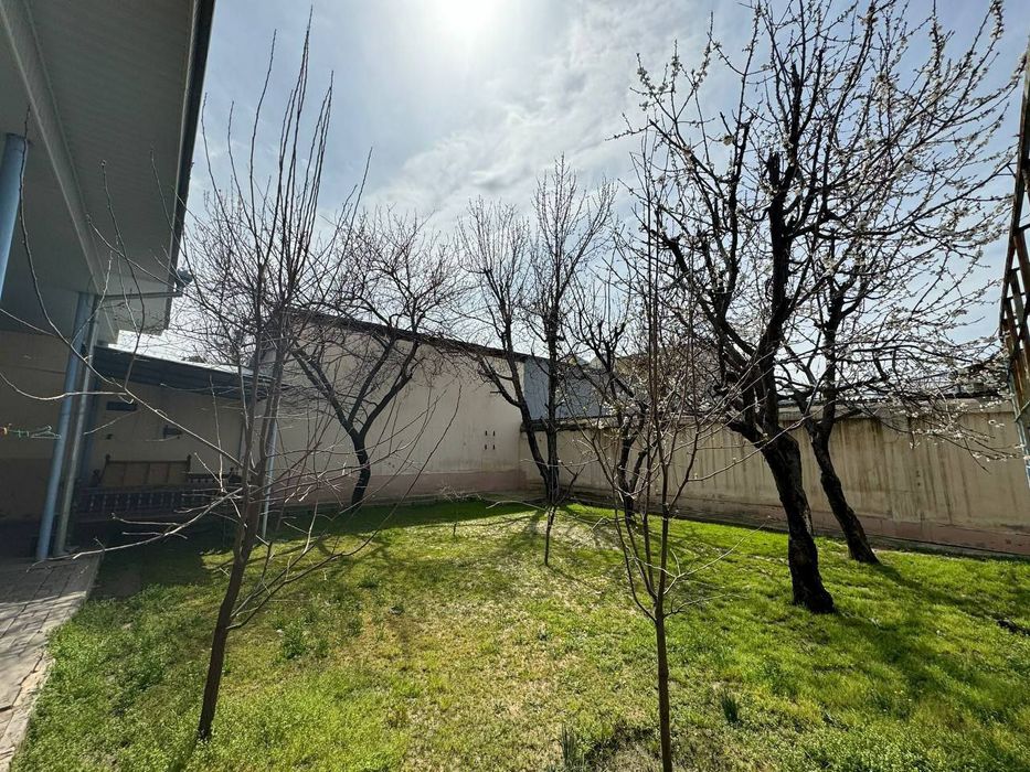 Мирзо Улугбек тумани Высоковольтные, Оринтир Ялангоч мачити, Чимган