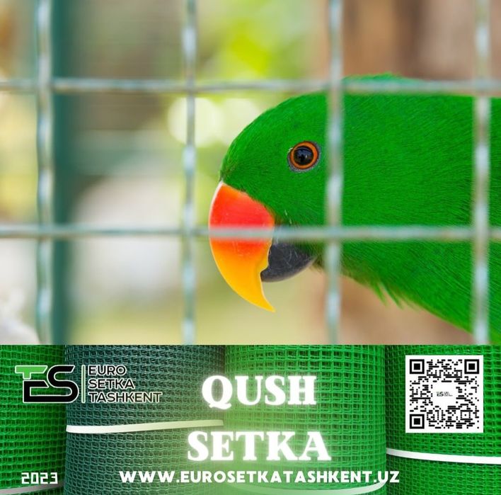 Qushlar uchun qush setka rulon setka yevrozabor evrozabor evro setka