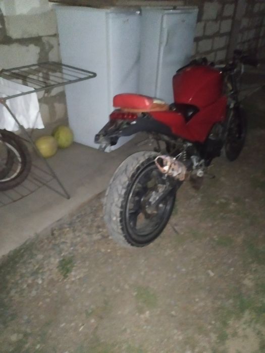 Peda Hornet 2013