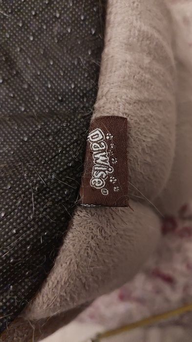 iglu "Pawise" pisici