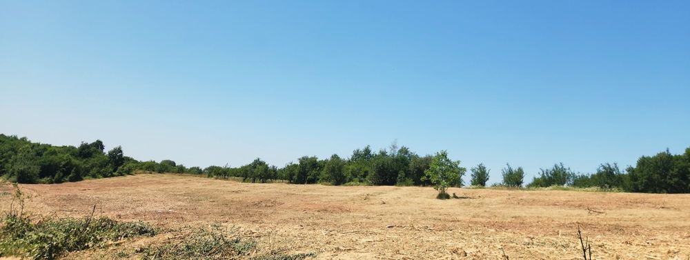 Curăț pășuni terenuri tocăm tocare vegetația și resturi vegetale, tund