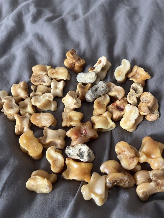 Асық наурыз мерекесіне алсаңыз болады