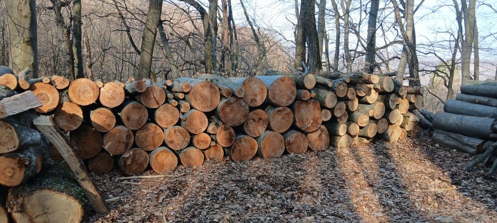 Lemn de foc jud sibiu