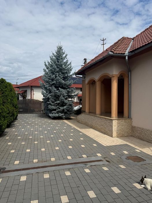 Vand casa ultracentral în Sebes