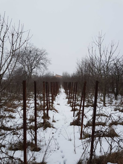 Teren 2.000 mp Domnești – zonă centrală, utilități, ideal investiție