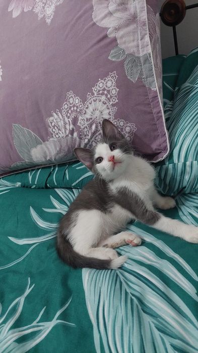 В самые добрые и ответственные руки.