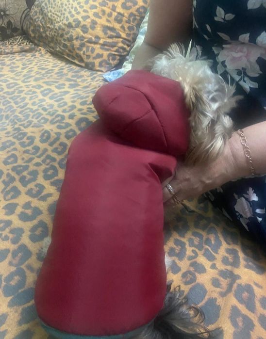 Шъем  веши для сабак