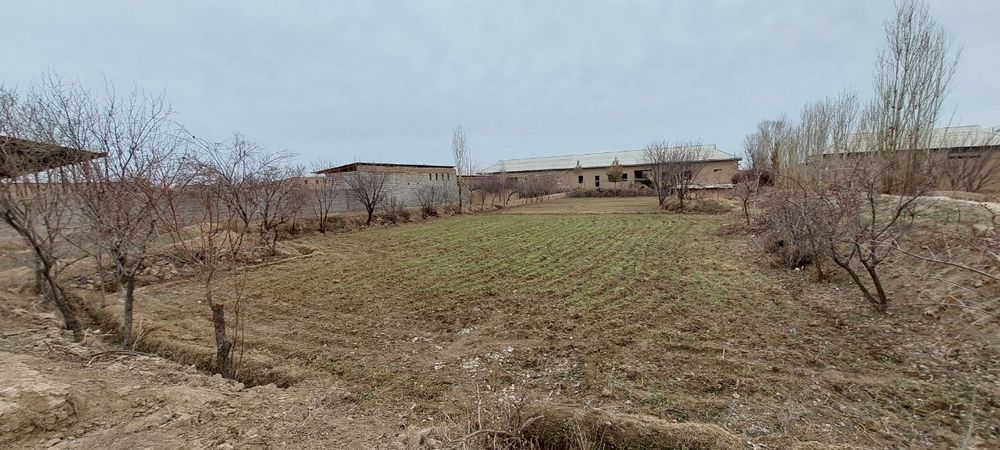 12 sotix yer sotiladi. Fazli qishlog'idan