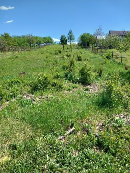 De vanzare in Beius, 28€/mp