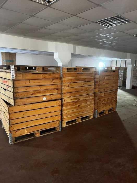 Boxpaleti din lemn