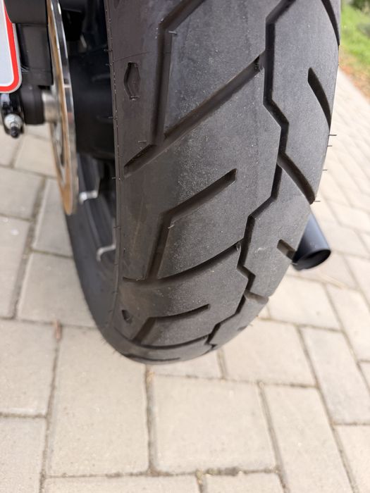 Harley Davidson 883 2021 2200km