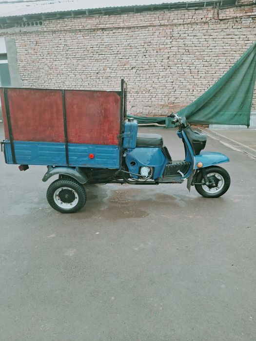 Муравей янги виписка