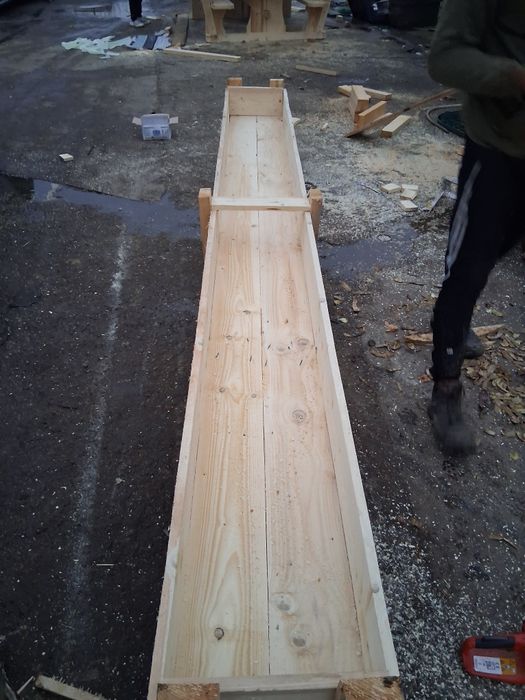 Vând iesili pentru oii