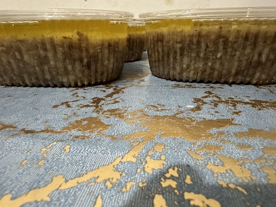 Холодец домашний