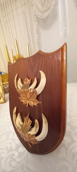 Немски трофеи диво прасе, документ, трофей