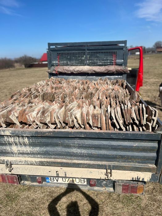 Țiglă solzi ff bună 1 un leu.