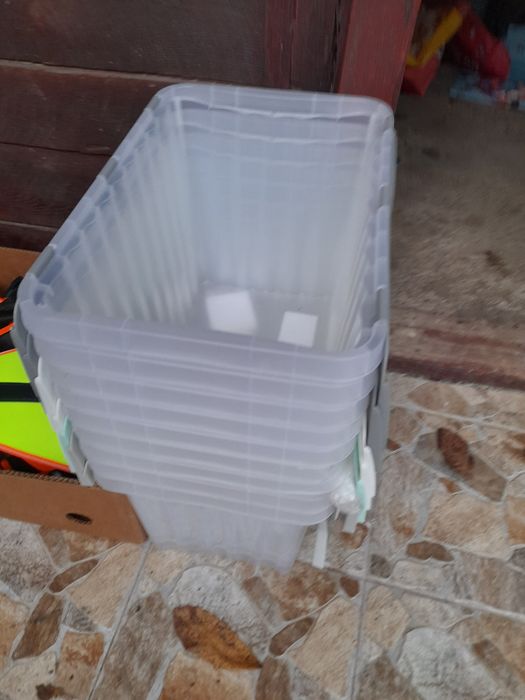 Caserole noi 20 lei buc