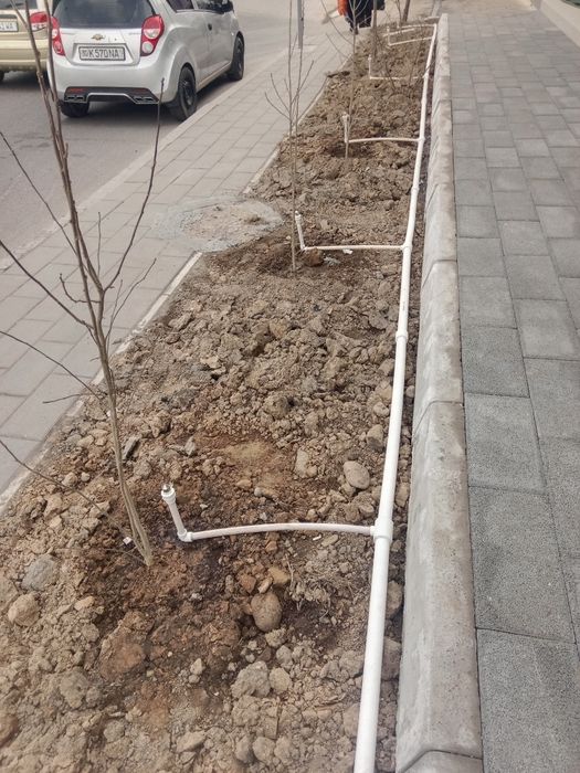 Садовник боғбон ишларини бажарамиз