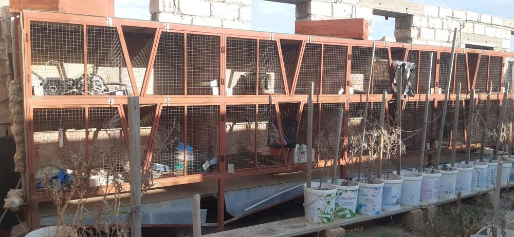 Клетки для кроликов или птицы просторные