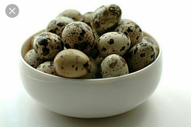 Бөдене жұмыртқасы мен еті 40