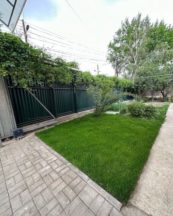 Готовый газон,газон рулонного,дайын газон