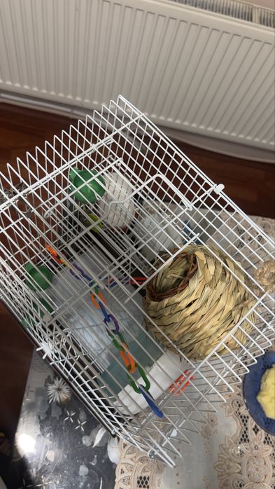 клетка за домашен любимец