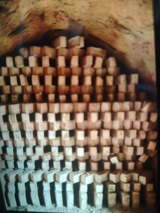 Пишган гишт хом гишт