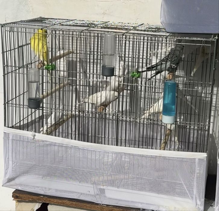 Andurka Va Nemis Bolari sotiladi