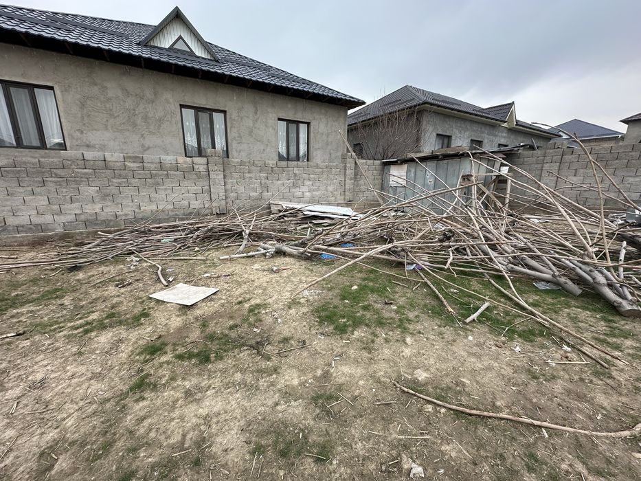 Отын агаштар бесплатно