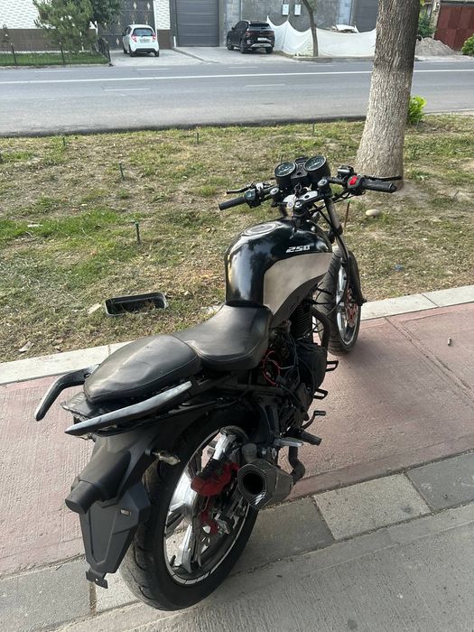 Kawasaki monster 250