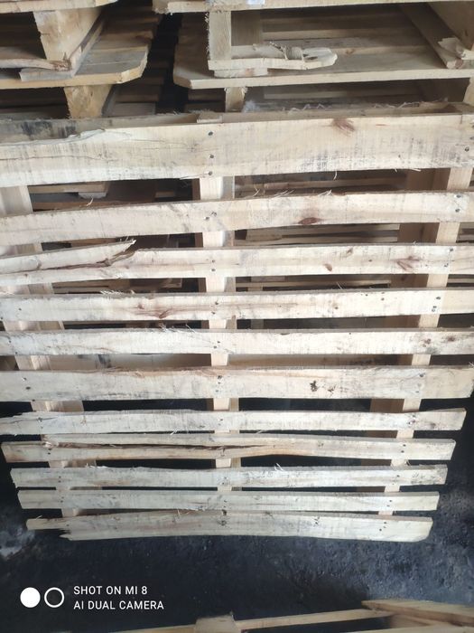 100x120 Paddon taxta 40.000 ming sõm dan
