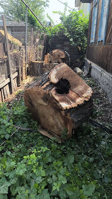 Спил деревевь и обрезка