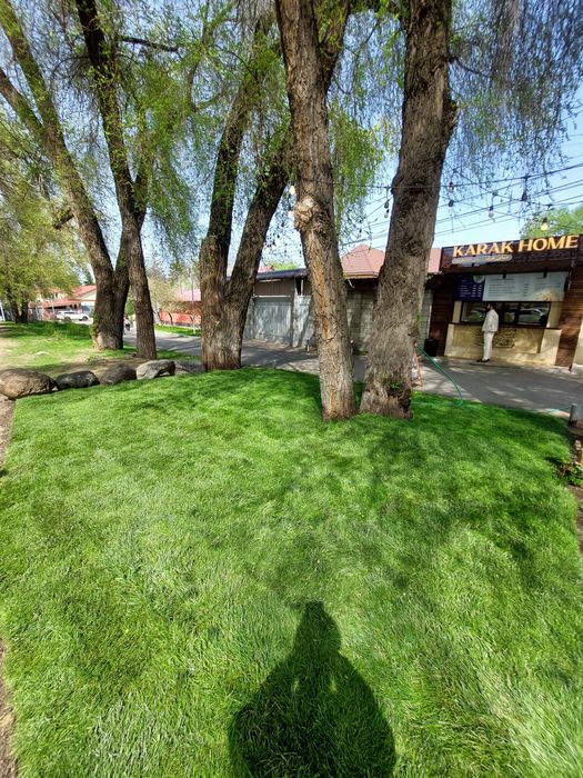 Рулонный газон, газон под ключ