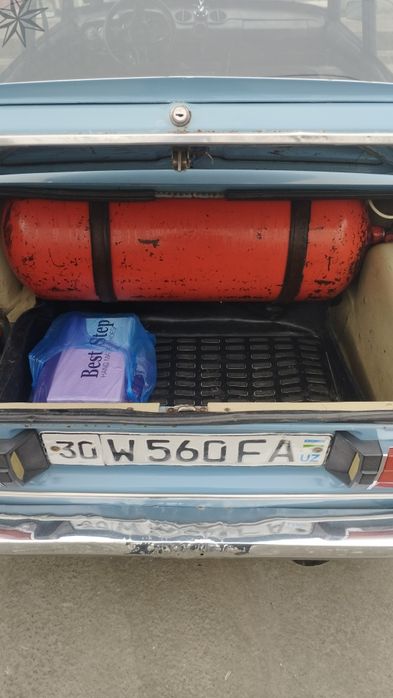 Ko'k jugili trentagi