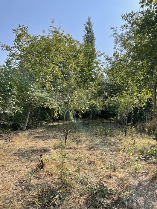 Parkentda 6-sotix dacha sotiladi, Shaxardan 20 km, dacumenti tayyor