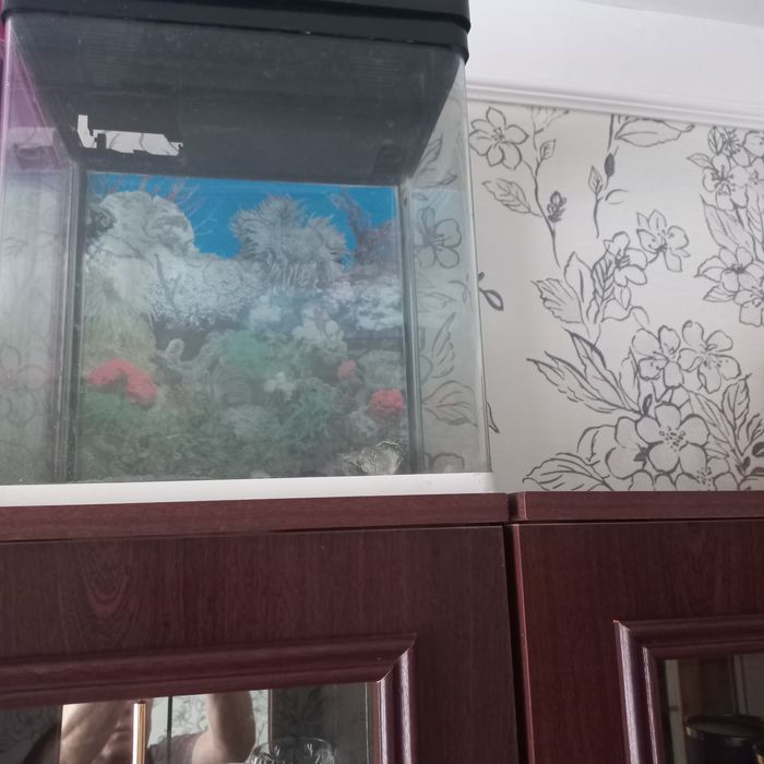 Продам аквариум разные.