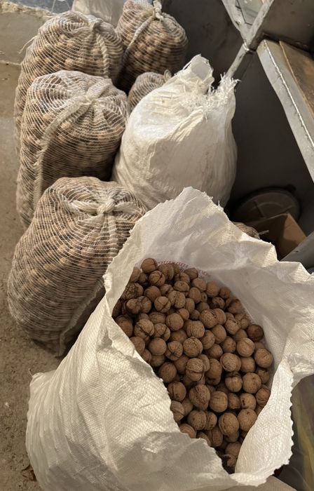 Орехи домашние свои