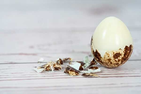 Перепелиное яйцо Свежий Домашний Xonadon Bedana Tuxum Dostavka Arzon