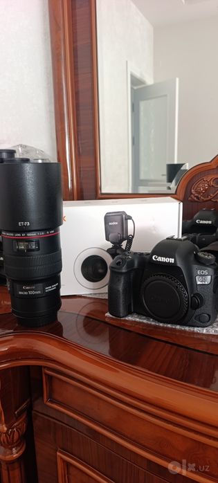 Canon EOS 6D Mark ll+Canon macro lens Ef 100 mm+ Godox ML-150  ll.