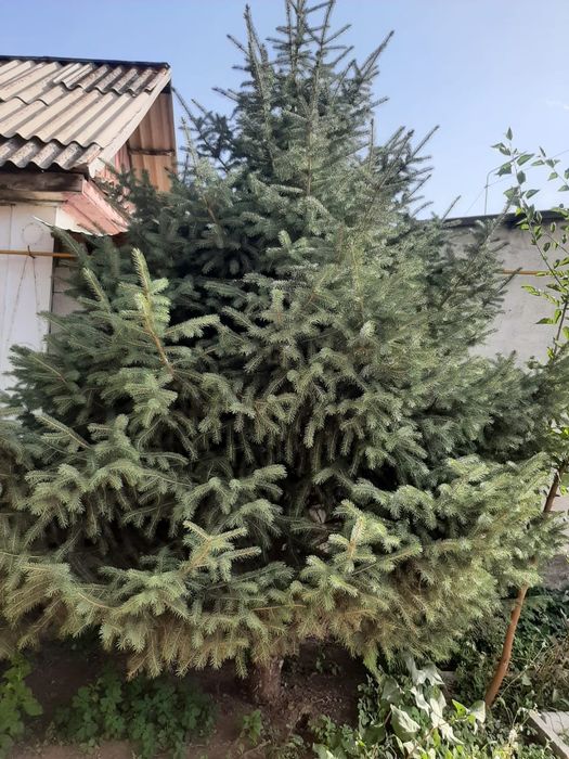 Здравствуйте! ))