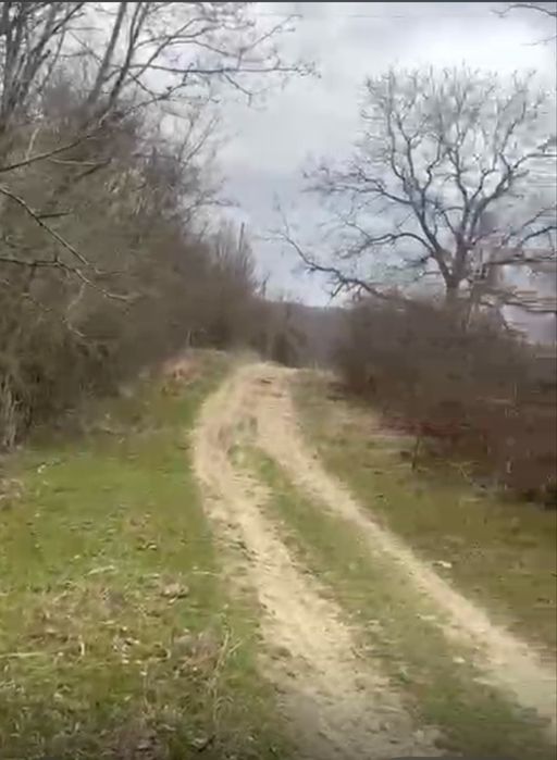 Teren 5000 mp, PIETRARU, BUZAU, cel mai ozonat loc din tara