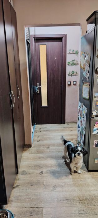 Apartament 2 camere parter sau schimb cu 3 camere