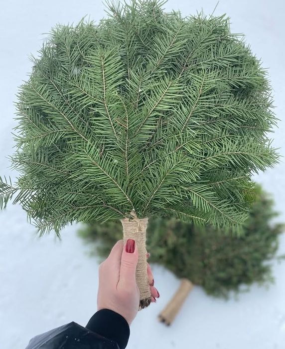 Пихтовый веник для бани