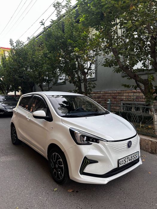 Changan Ben Ben Byd Seagull