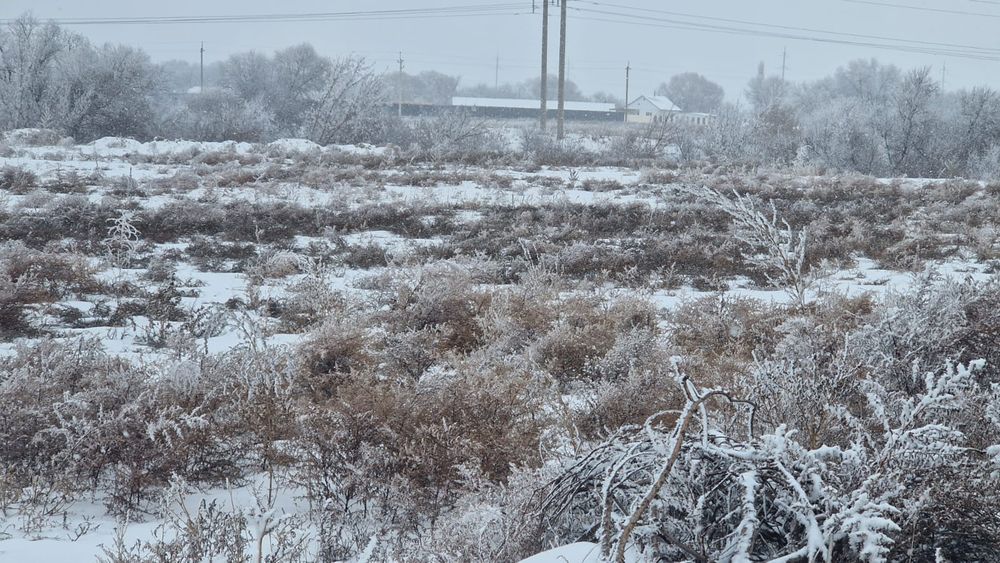 Участок 50 соток