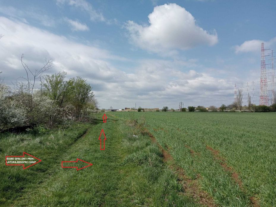 Parcele (una cu casa) in Ciolpani (DN1) cu utilitati direct propietar