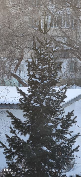 Xiaomi Mi 10 Ultra Explorer Edition