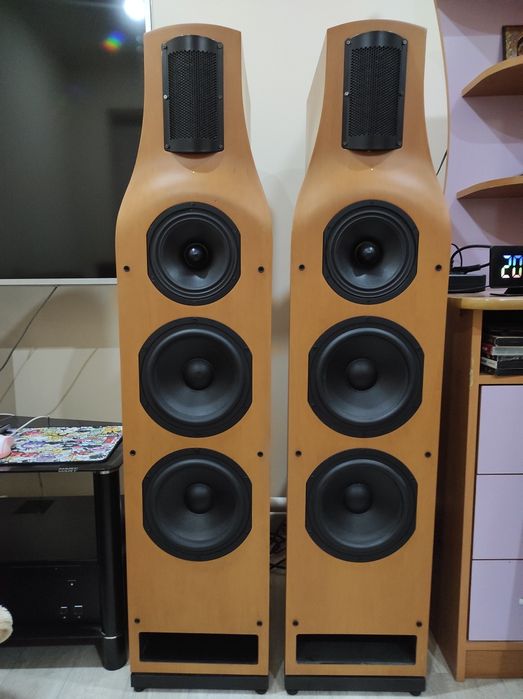 Акустика Hi-end T+A Criterion TCI 2E