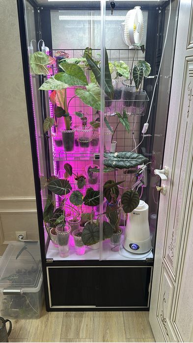 Продам витрину для комнатных растений .