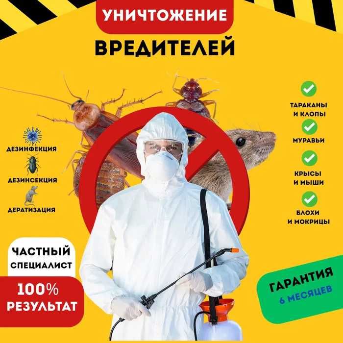 Дезинфекция от Клопов Тараканов насекомых комаров мокриц ос крыс мышей